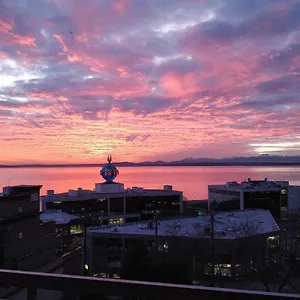  Apartment Floor Water View Oasis Near Space Needle & Cruise